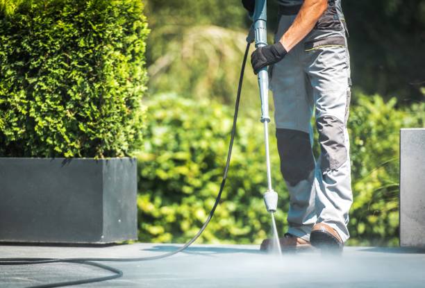 Best Solar Panel Cleaning  in Orrville, OH