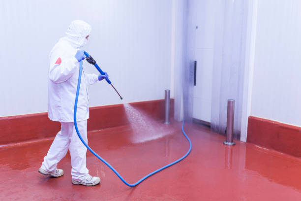 Best Soft Washing  in Orrville, OH
