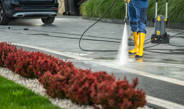 Animal Enclosure Cleaning in Orrville, OH
